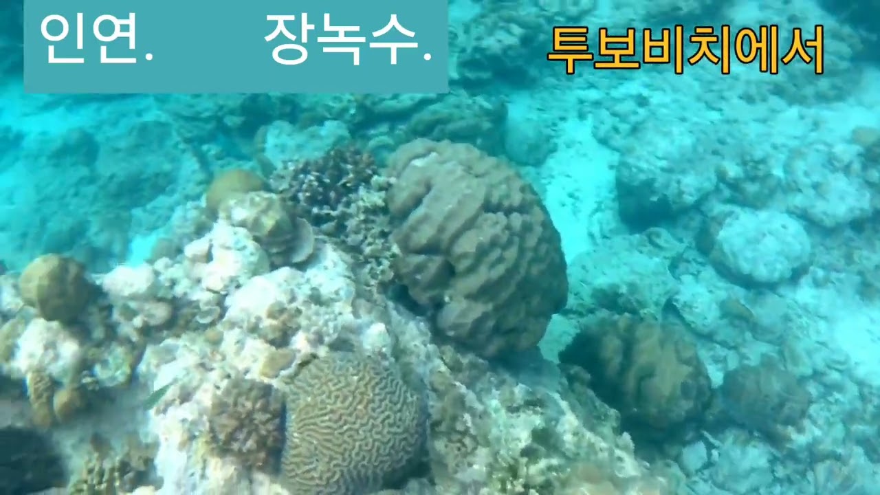 이선희의 인연과 전미경의 장녹수를 커버하였습니다