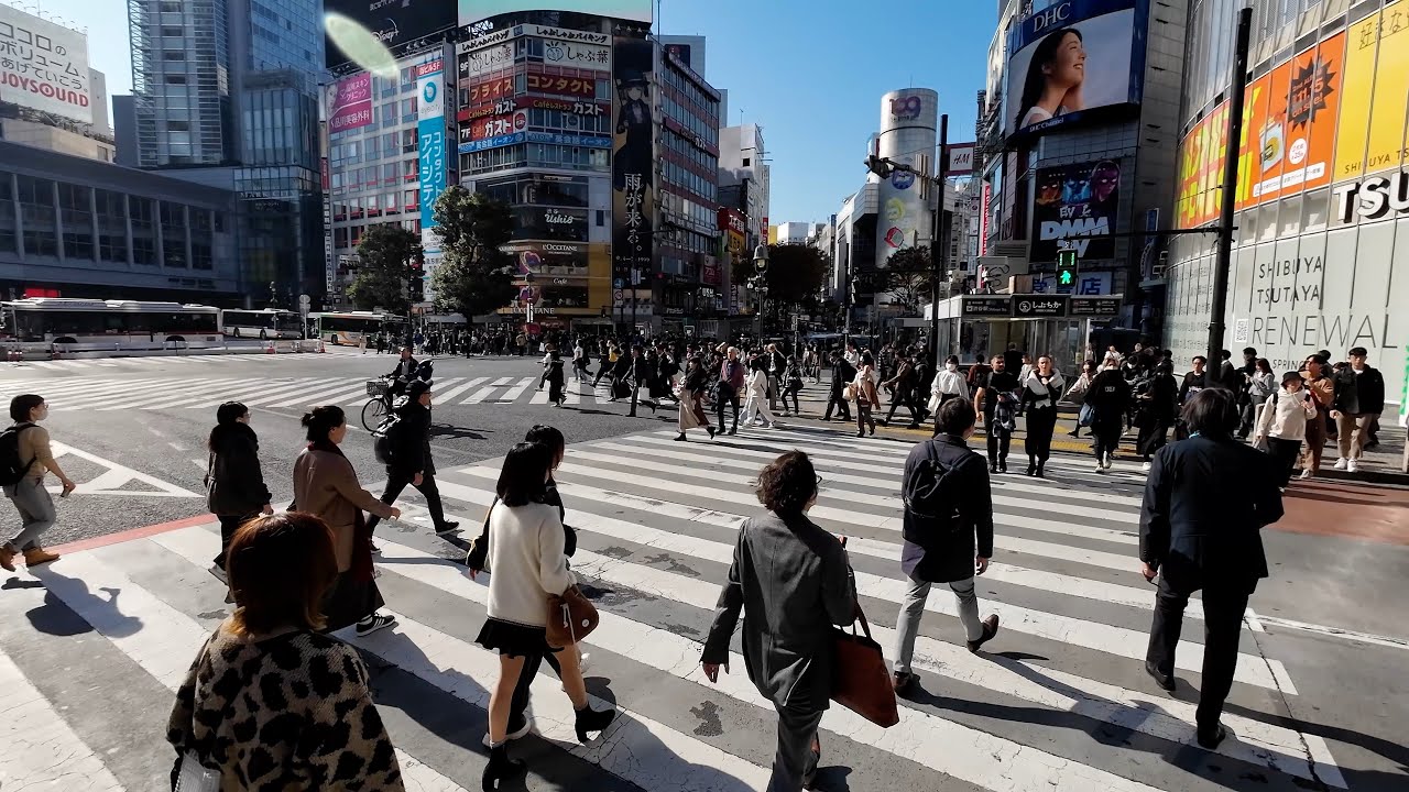 Tokyo harajuku   shibuya  טוקיו הרג׳וקו ושיבויה