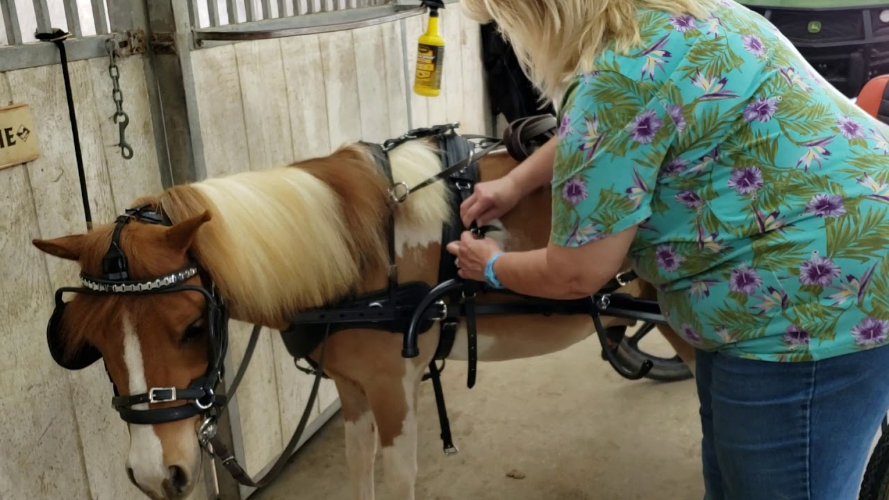 Harnessing to the HyperBike