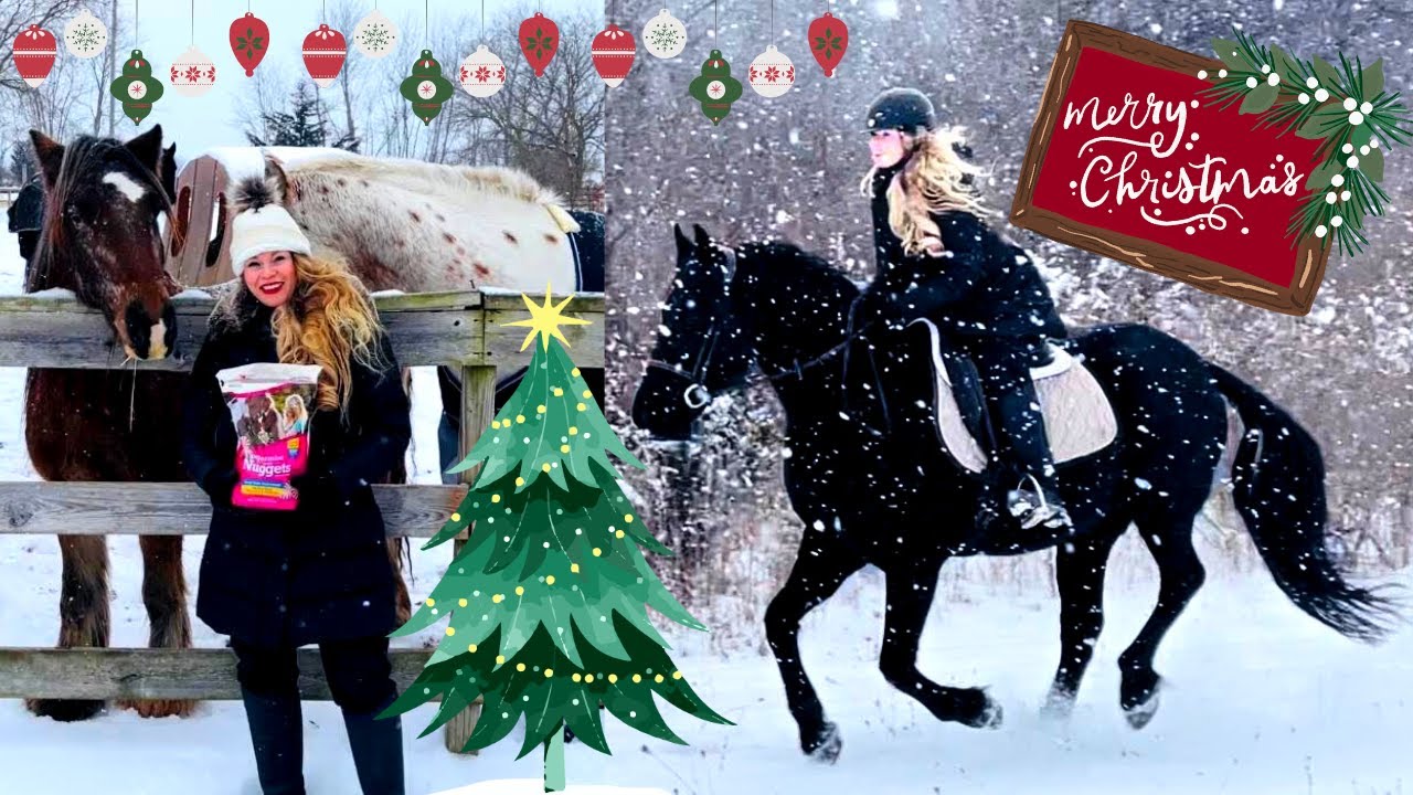 Christmas Day With The Horses! Magical Snow Ride on My Friesian X!