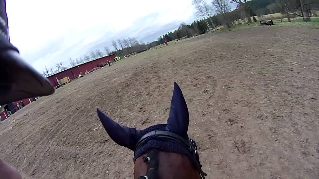 Henriette Bedsted og Balzerlunds Harlekin - Tranemo CNC90 - Hjelmkamera