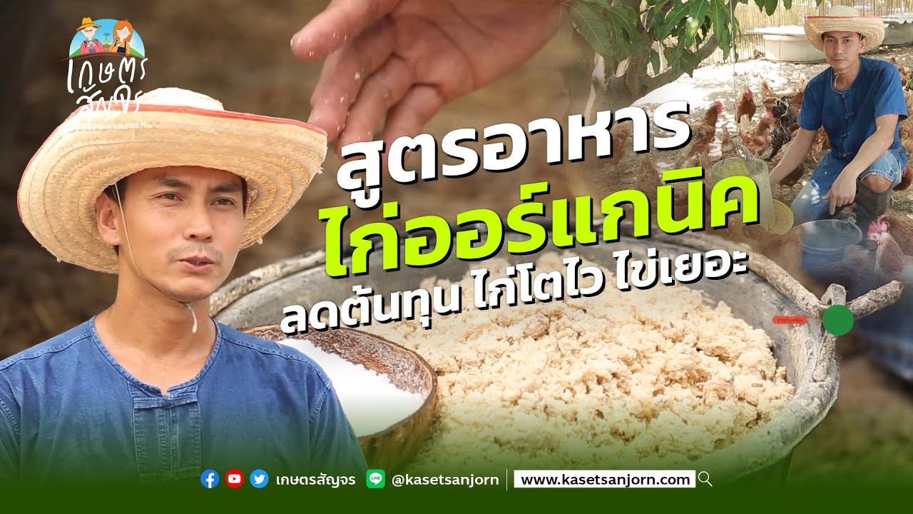 สูตรทำอาหารไก่ อินทรีย์ ลดต้นทุน ปลอดสาร - เกษตรสัญจร
