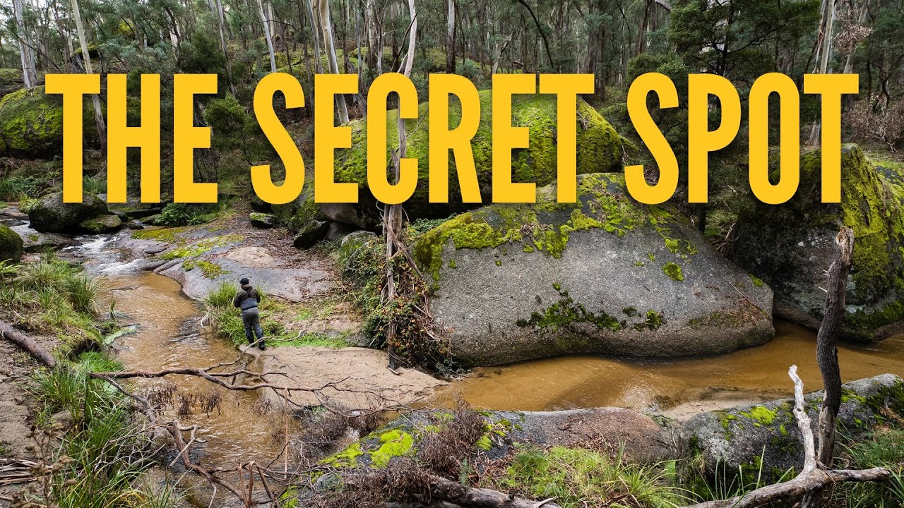 The Secret Spot – Unlocking Hidden Fishing Gems