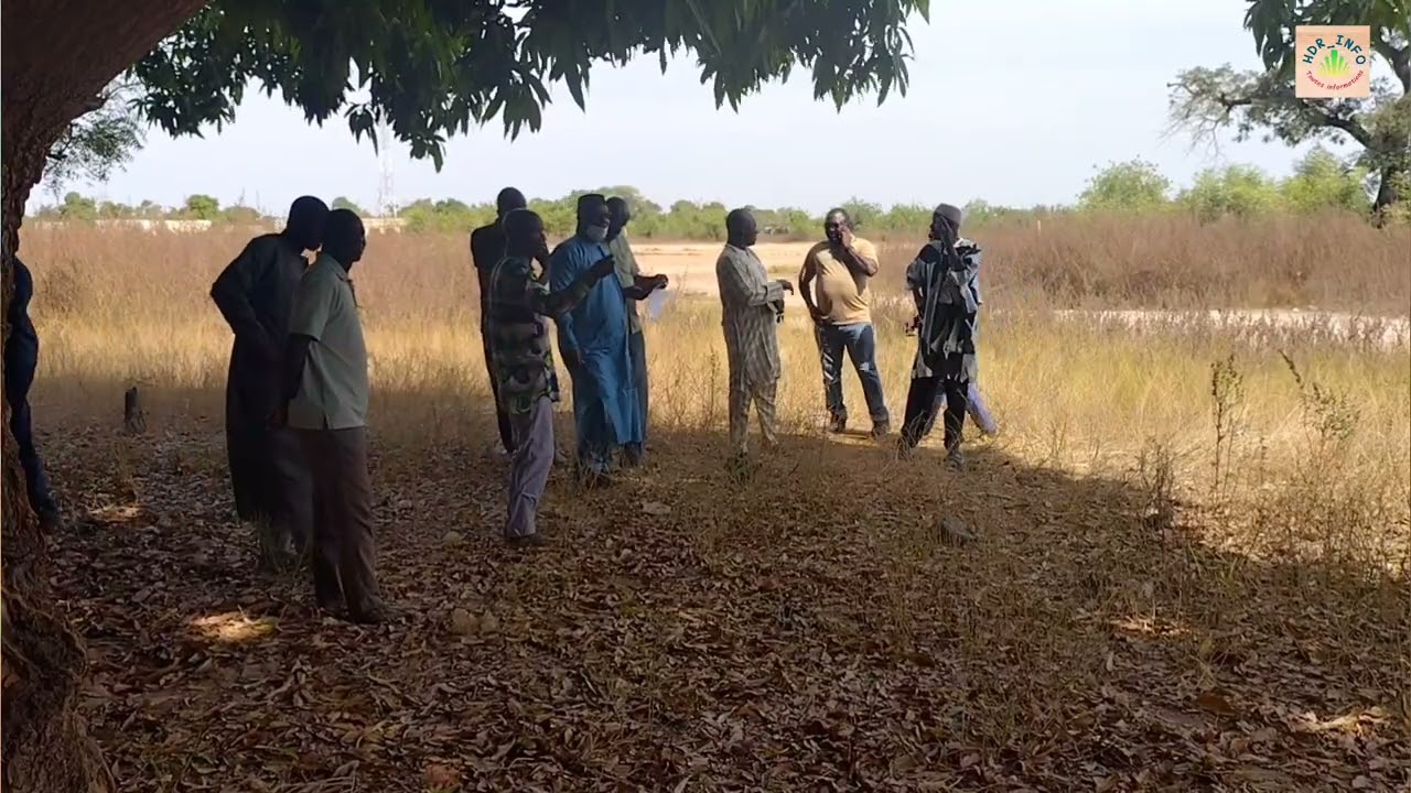 Début de clôture de la mûre du groupe scolaire Diawoye Diakité de Koumantou par la mairie