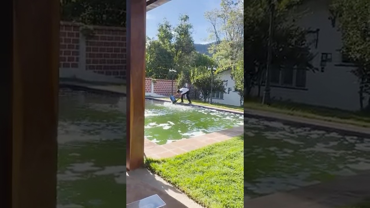 Piscina Llena de Larvas de Mosquitos 😨 | Agua Verde, Algas y Recuperaci&oacute;n Total Paso a Paso
