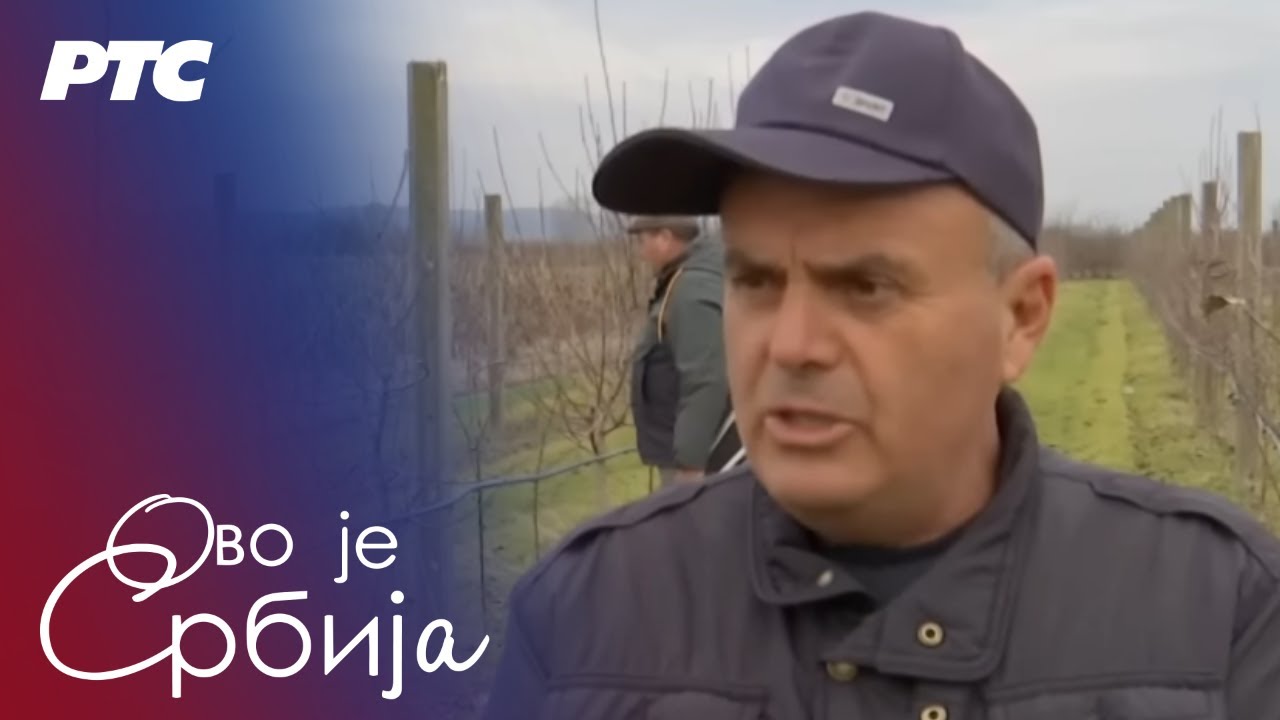 Ovo je Srbija 12.2.2026.