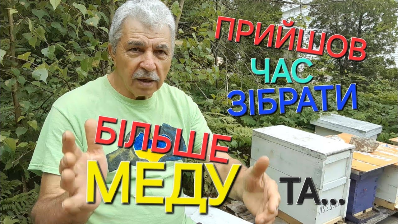 #бджоли ...Вбиваємо двух зайців одночасно та качаємо більше меду.