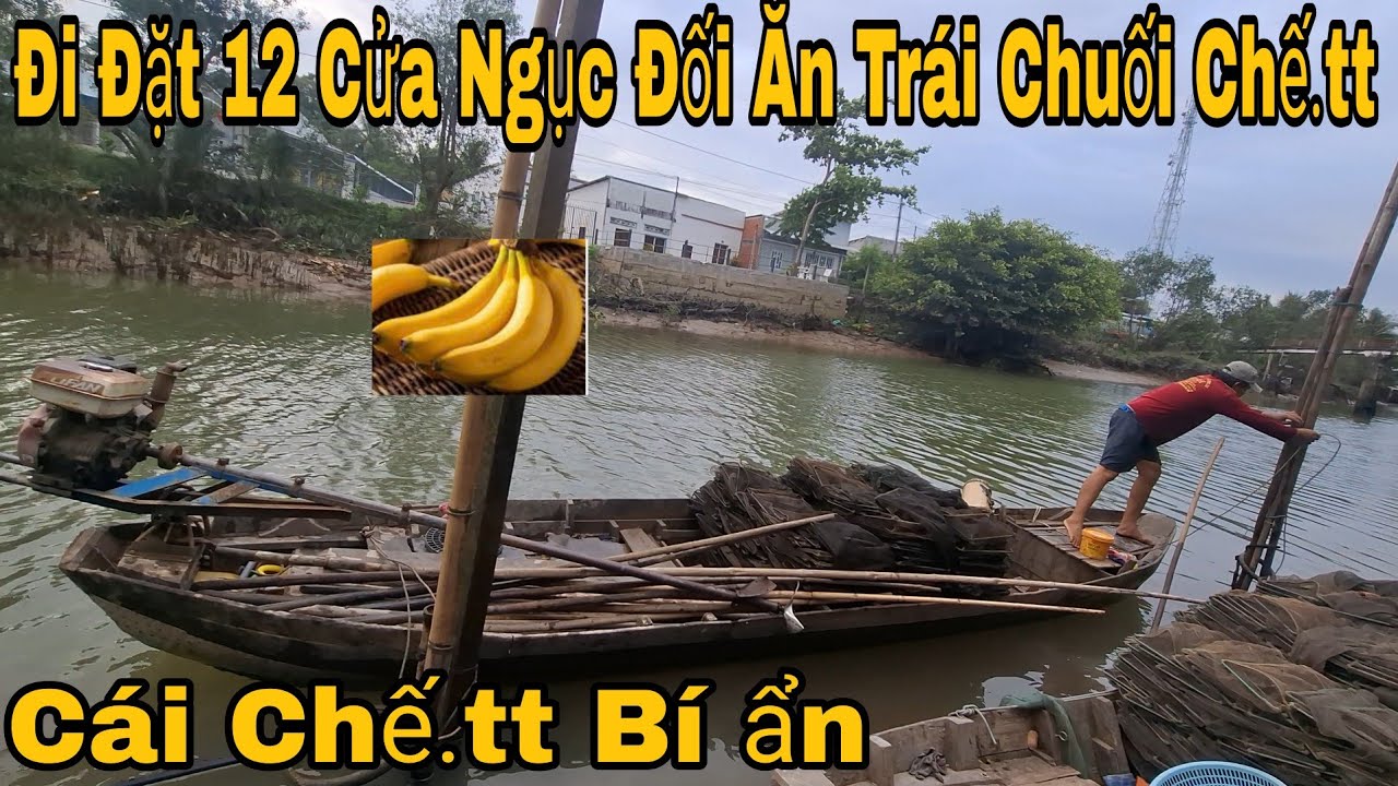 Toang