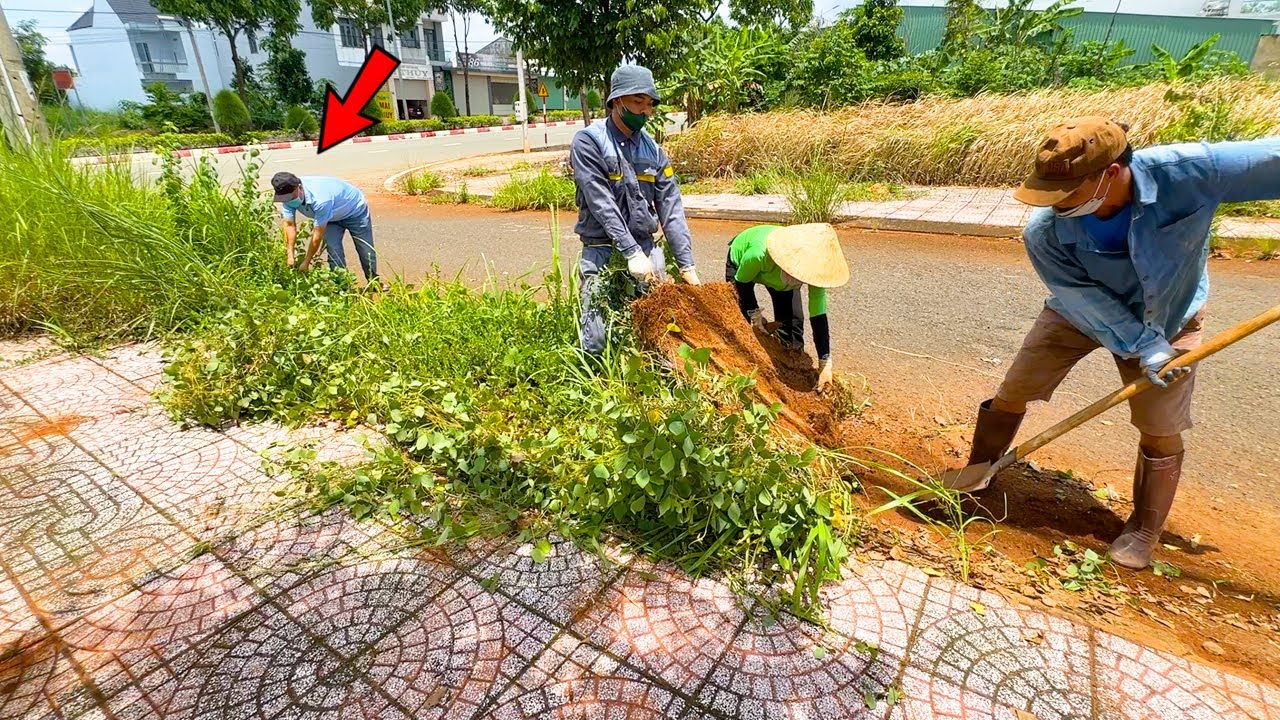 Neighbors feel helpless as sidewalks are covered with weeds, blocking the entire path