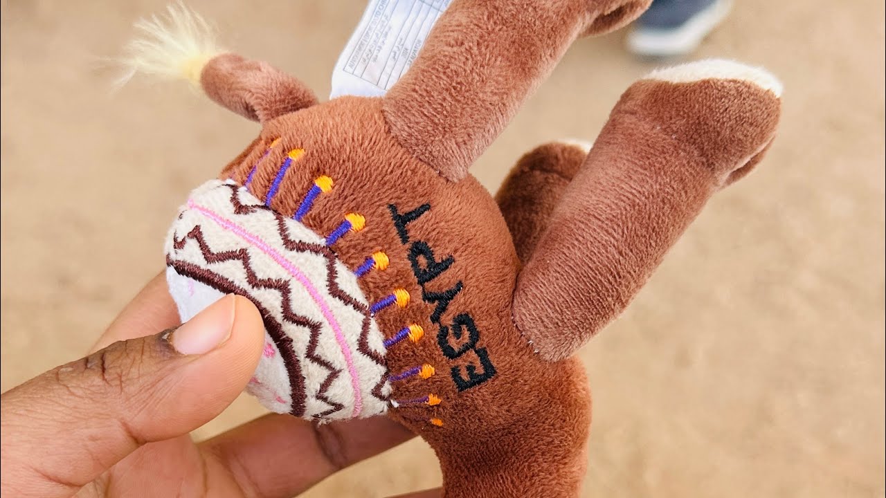 Vacation |🇪🇬|day3|Safari|swimming|Eating|  #egypt #safari #sightseeing #travelvlog 