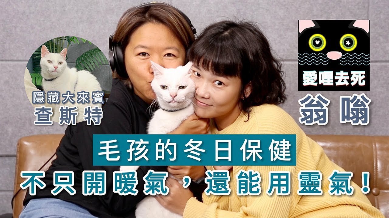 冬日照顧毛孩妙招：不只開暖氣，還可以用靈氣！ft翁嗡(愛的波光靈靈)【完整版請洽Podcast搶先聽】｜春花媽陪你聊一聊 EP155