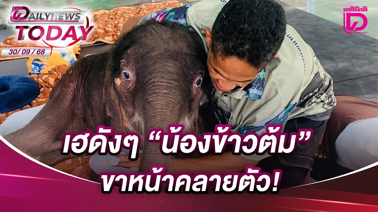 เฮดังๆ