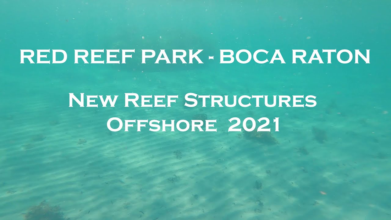 Underwater View of the New Snorkeling Structures at Red Reef Park - 2021