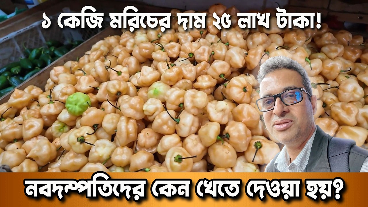 বিশ্বের সবচেয়ে দামী মরিচ ‘আজি চরপিতা’ | নবদম্পতিদের কেন খেতে দেওয়া হয়? |  দুনিয়ার গল্প