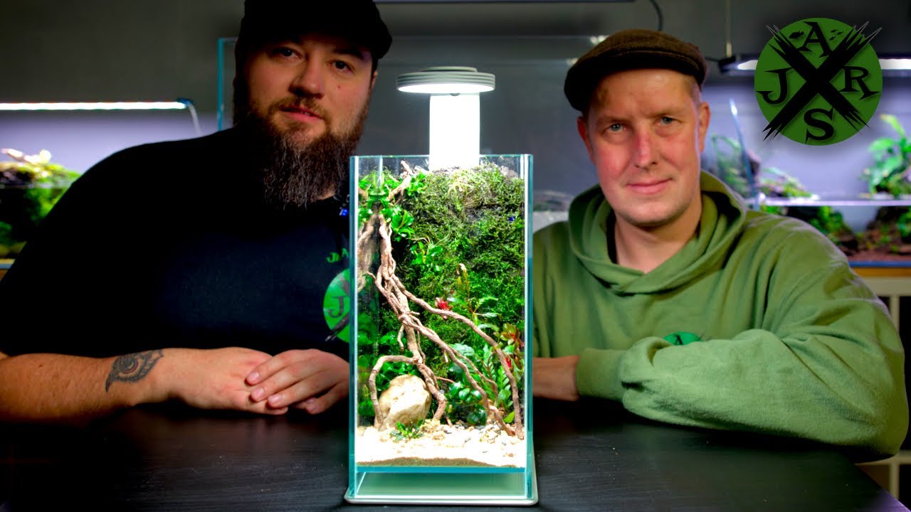Mini TERRARIUM | Scapen mit Daniel AKA @dnlktn | Cooles WEIHNACHTSGESCHENK !!