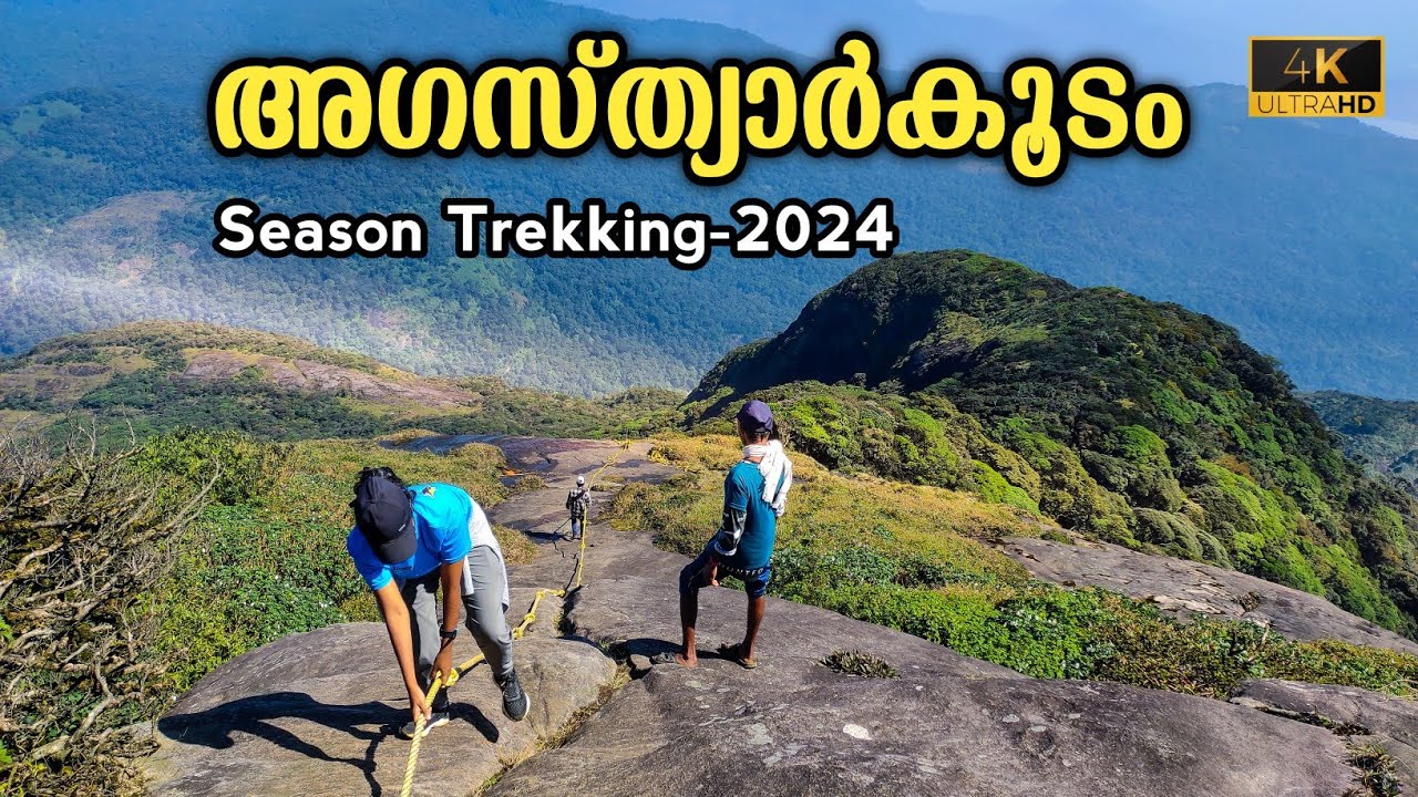 Agasthyarkoodam Trekking 2024 | Most Difficult Trek In Kerala |Full Details #agasthyarkoodam #kerala