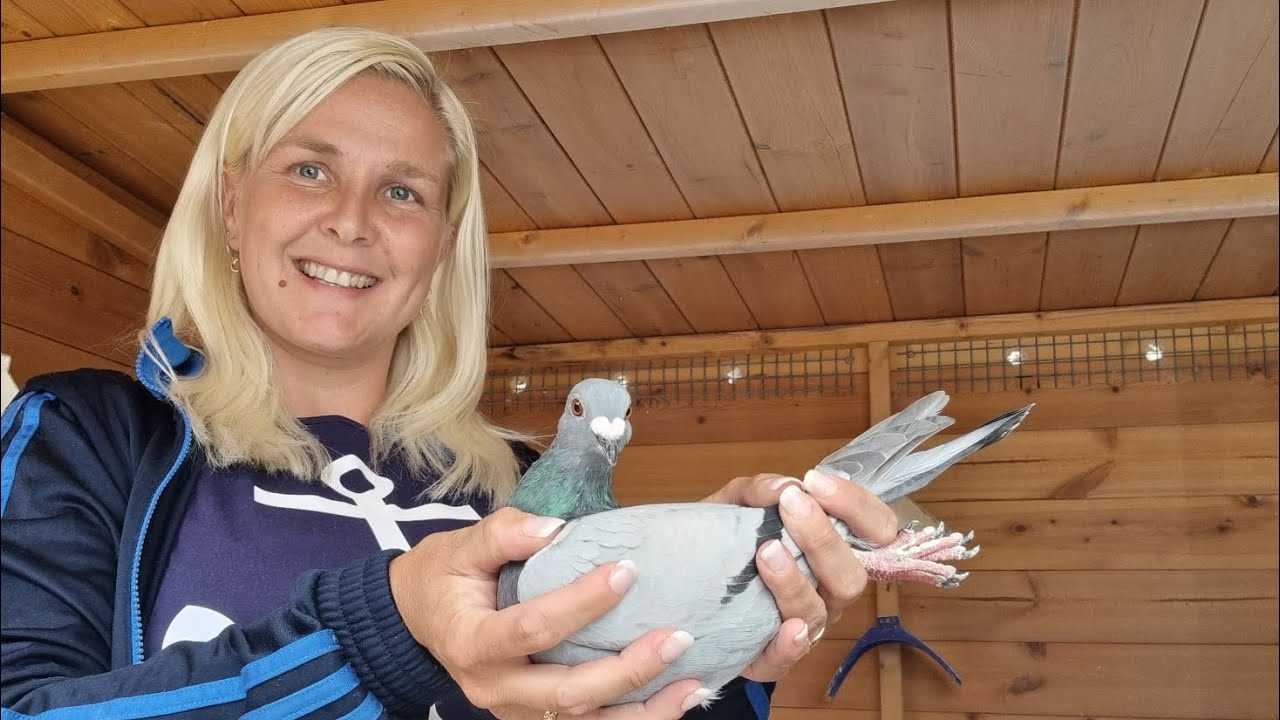 Давно не виделись! Обновление Young Birds 2023