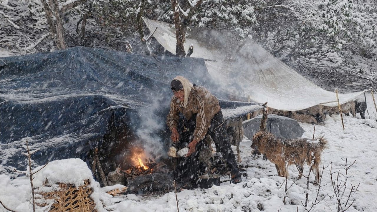 Surviving Shepherd Life in One Of The Coldest Regions Of Nepal |A Snowy Freezing Winter Village intr
