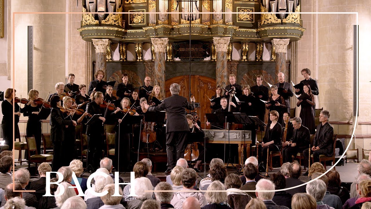Bach - Cantata Wir müssen durch viel Trübsal... BWV 146 - Van Veldhoven | Netherlands Bach Society