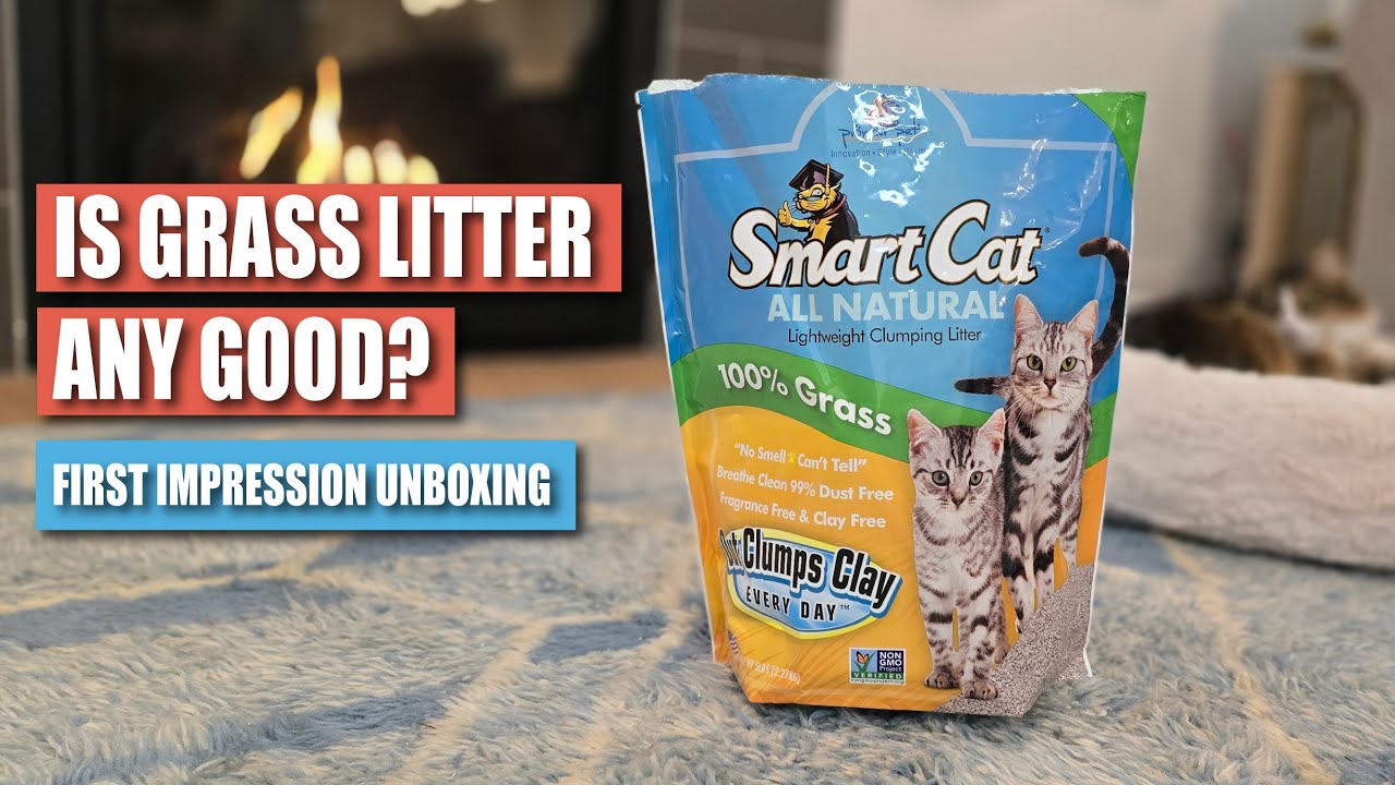 Smart Cat All Natural Grass Litter | Unboxing