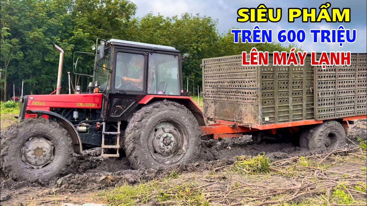 Xem Cận Cảnh Máy Cày Belarus 892.2 Và Theo Xe Đi Về Bãi Đổ Củ Mì, Thiện Vũ TV
