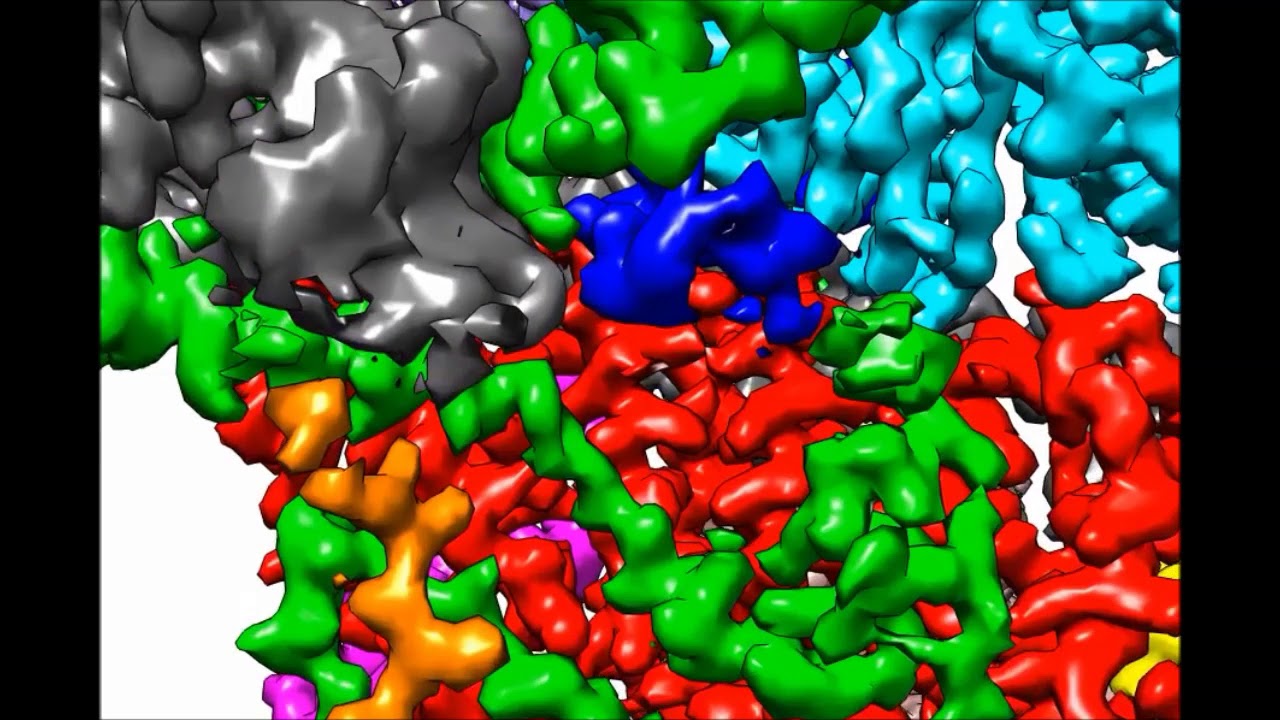 CryoEM structure of Saccharomyces cerevisiae U1 snRNP offers insight into alternative splicing