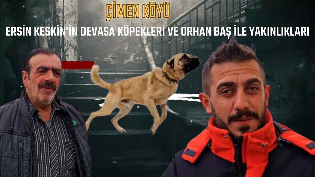 ERSİN KESKİN'İN DEVASA KÖPEKLERİ VE ORHAN BAŞ İLE YAKINLIKLARI ( ÇİMEN KÖYÜ )