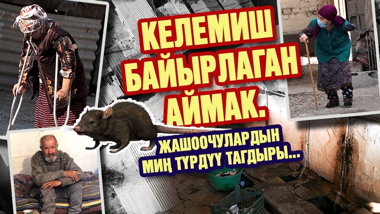 КЕЛЕМИШ байырлаган АЙМАК. Жашоочулардын миң түрдүү тагдыры...
