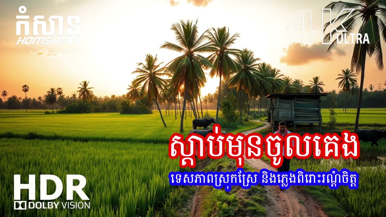 🌊 ភ្លេងរាត្រីស្ងប់ស្ងាត់ – បិទភ្នែកសម្រាក និងលង់ក្នុងការគេងសុខសាន្ត