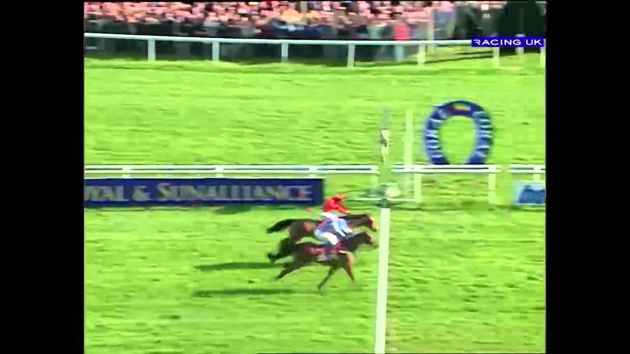 Watch AP McCoy's best rides