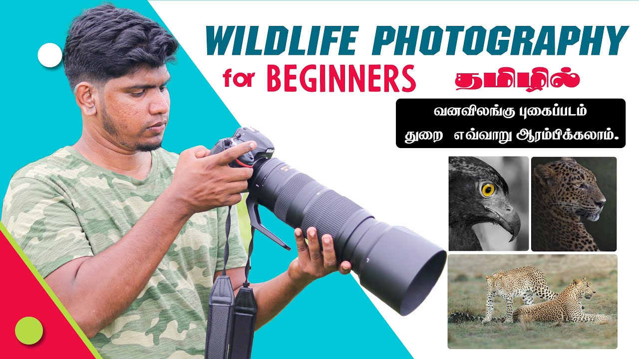Wildlife Photography Tips for Beginners in Tamil | Raseem Photography | Wildlife Tamil