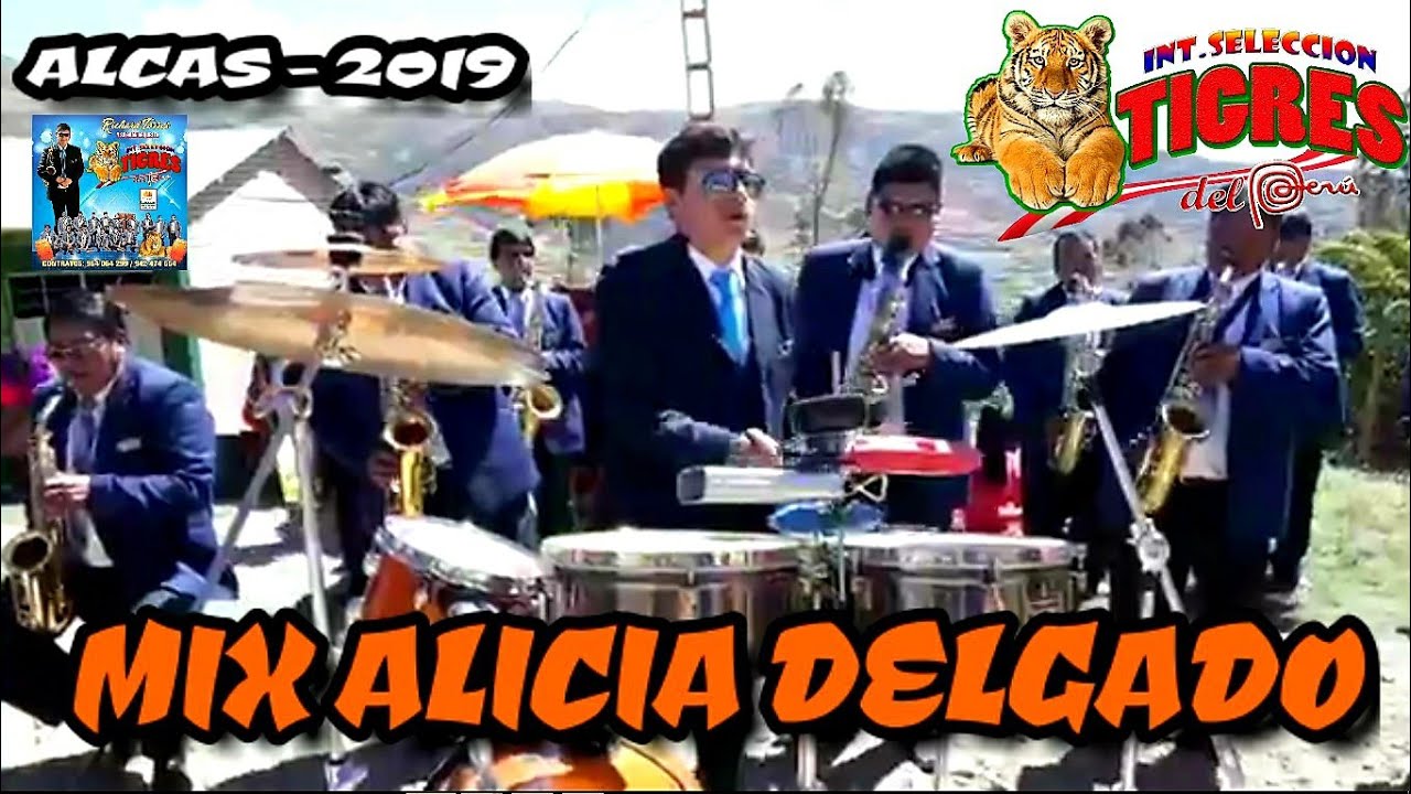 MIX ALICIA DELGADO ( PARRANDA ) | ORQUESTA INTERNACIONAL SELECCIÒN TIGRES DEL PERÙ