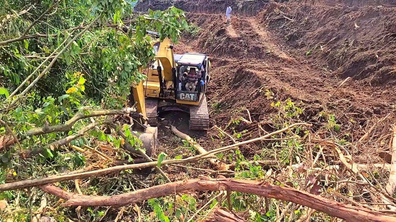 The Best Construction Heavy Equipment CAT 320D Excavator Construction Palm Oil Plantation