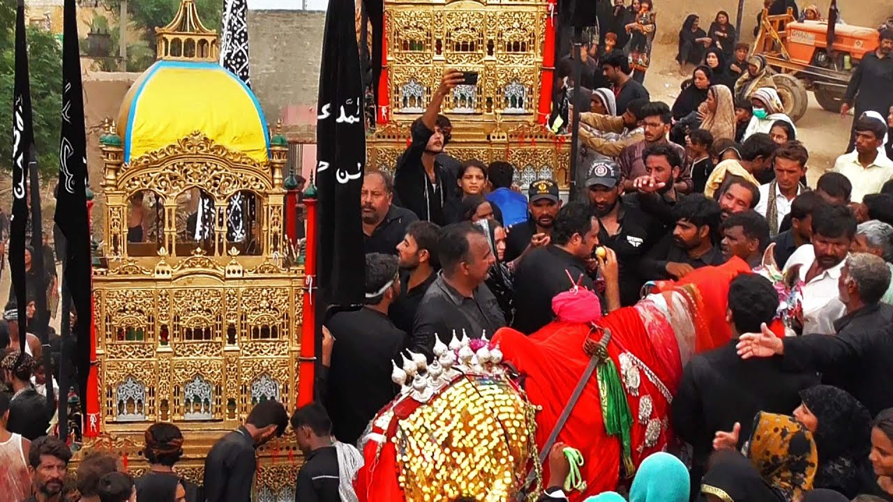 Shia Matam, Culture with a Horse 2024 | Viral Installer