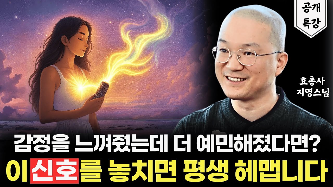 감정이 정화됐다는 진짜 증거 (ft. 감정 정화 워크숍 Q&A)