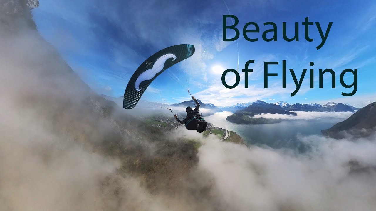 A Perfect Flying Day - Flare Moustache