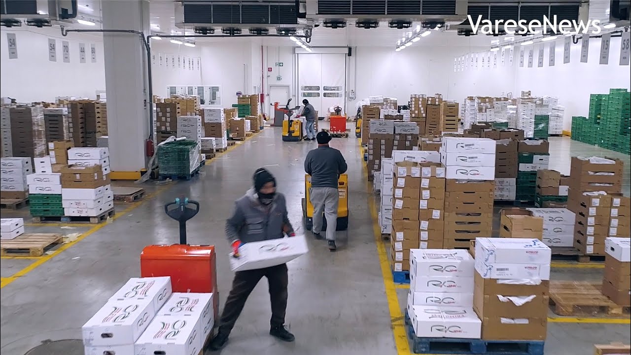 Come si rifornisce un supermercato? Viaggio nel centro distributivo di Tigros