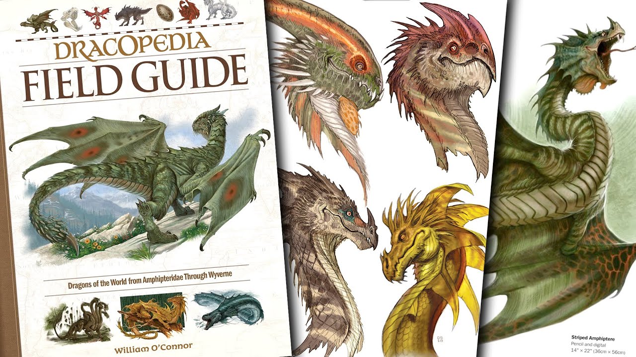 Путеводитель по Dracopedia🐉Драконы мира Уильяма О'Коннора: художественный справочник по фэнтези-д...