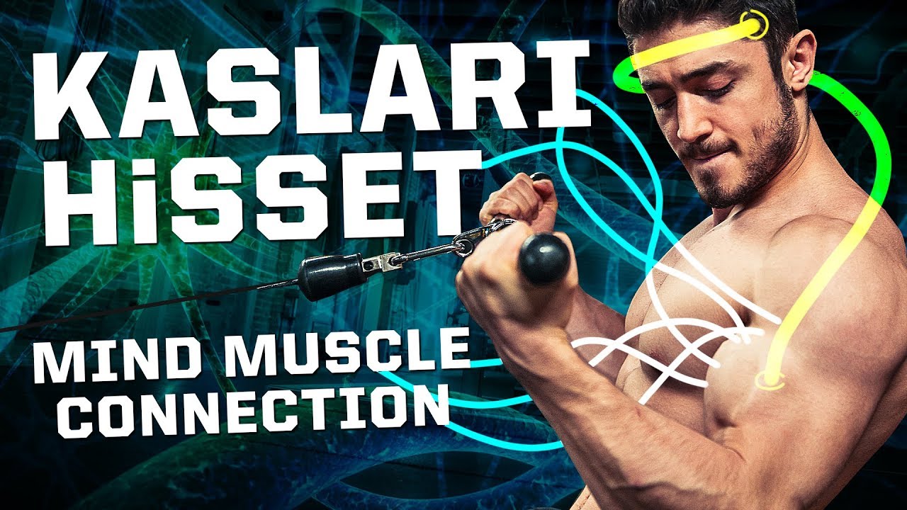 Kaslarını Hisset ve Geliştir! (Mind Muscle Connection)