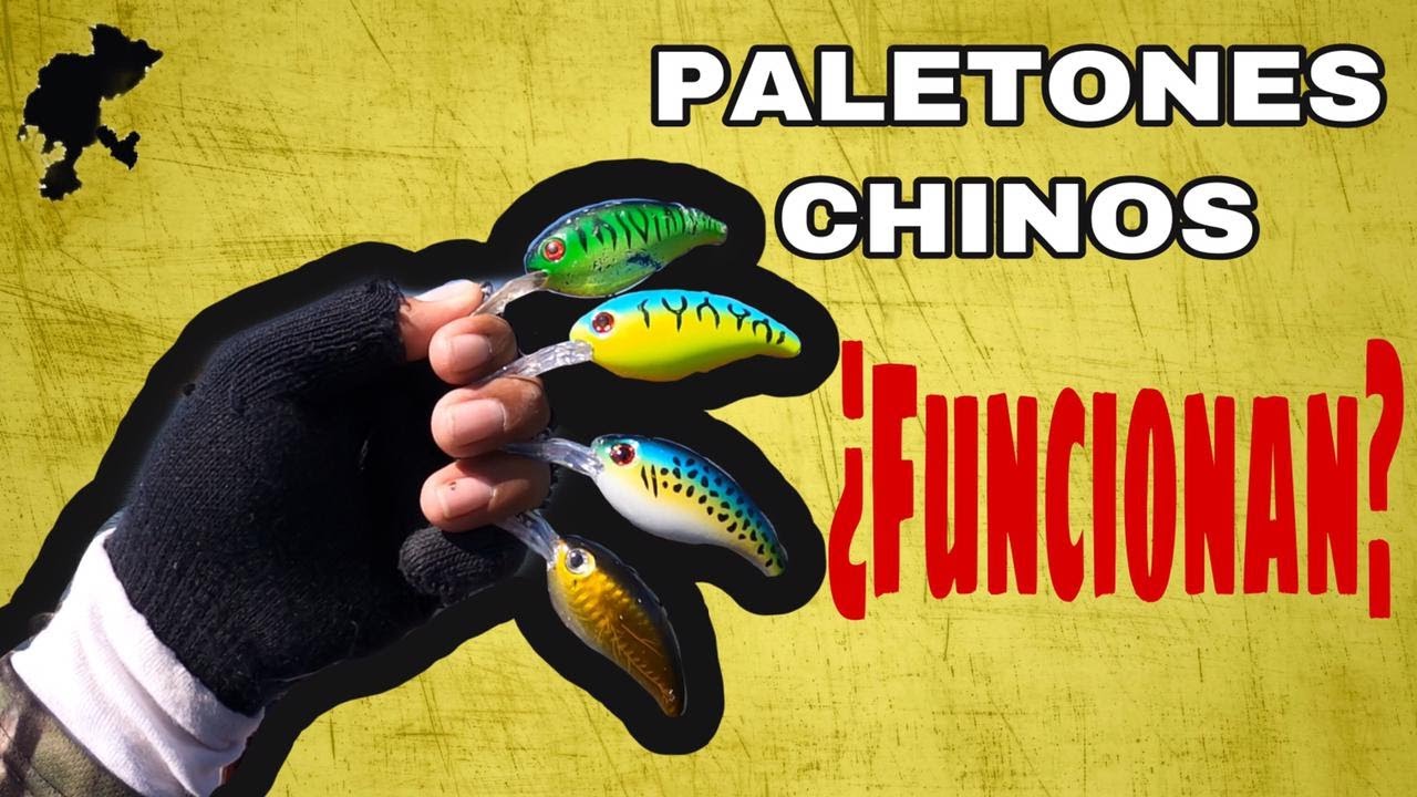 PALETONES CHINOS | Funcionan?🤷🏽‍♂️ | Cómo usarlos?👊🏽😉