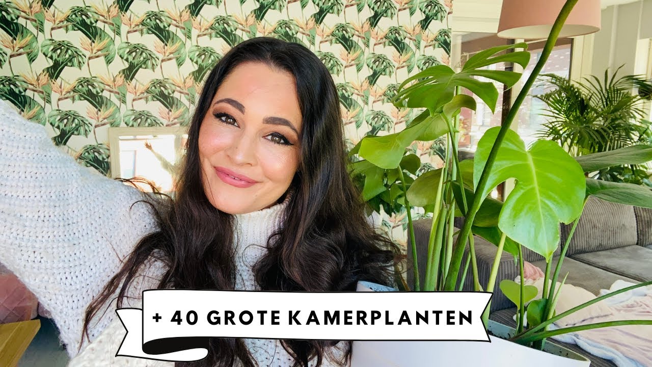 PLANTENVLOG: KAMERPLANTEN TOUR 2021 | + 40 GROTE KAMERPLANTEN IN MIJN COLLECTIE | MELISSA AARSSÉE