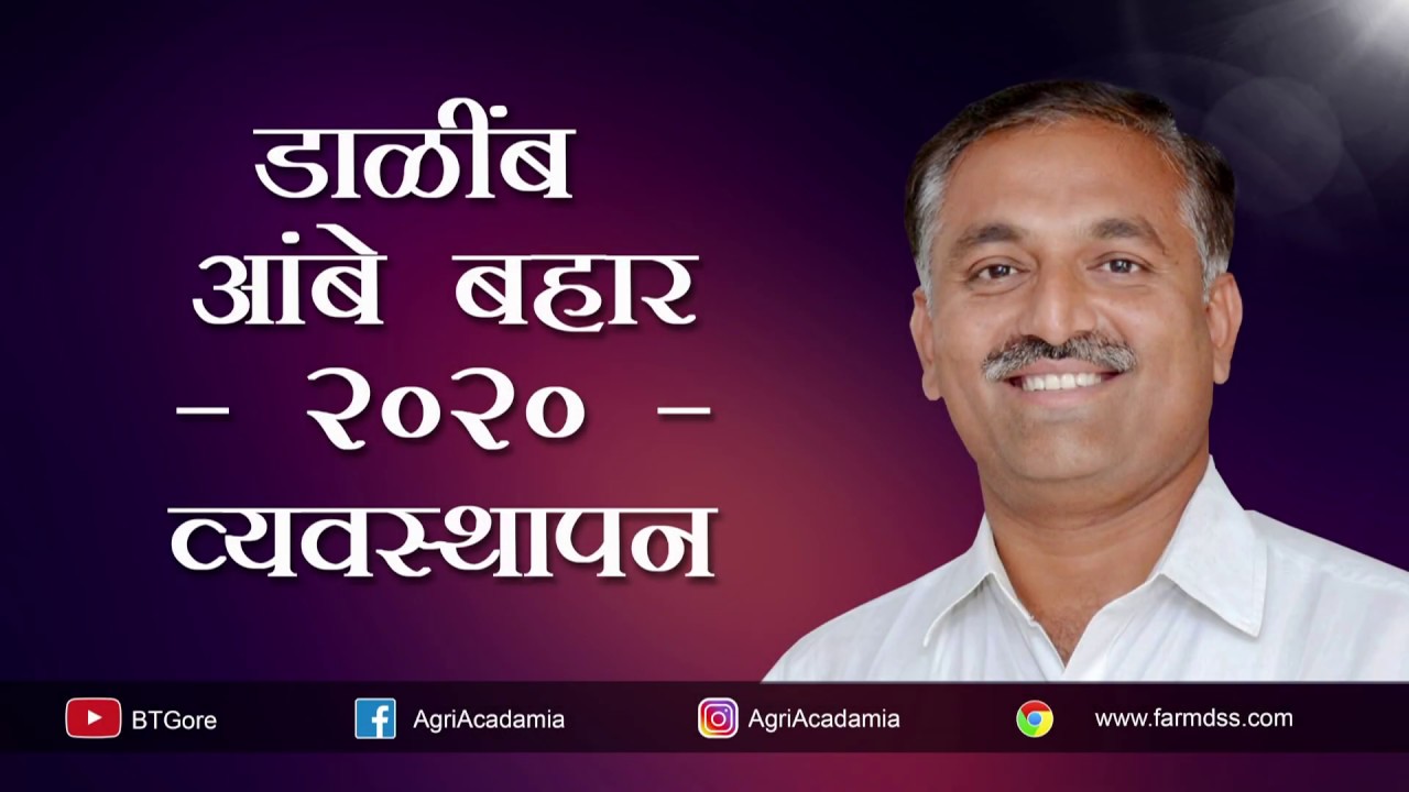 Pomegranate Ambe Bahar 2020 Management in Marathi / डाळींब आंबे बहार २०२० व्यवस्थापन मराठीत