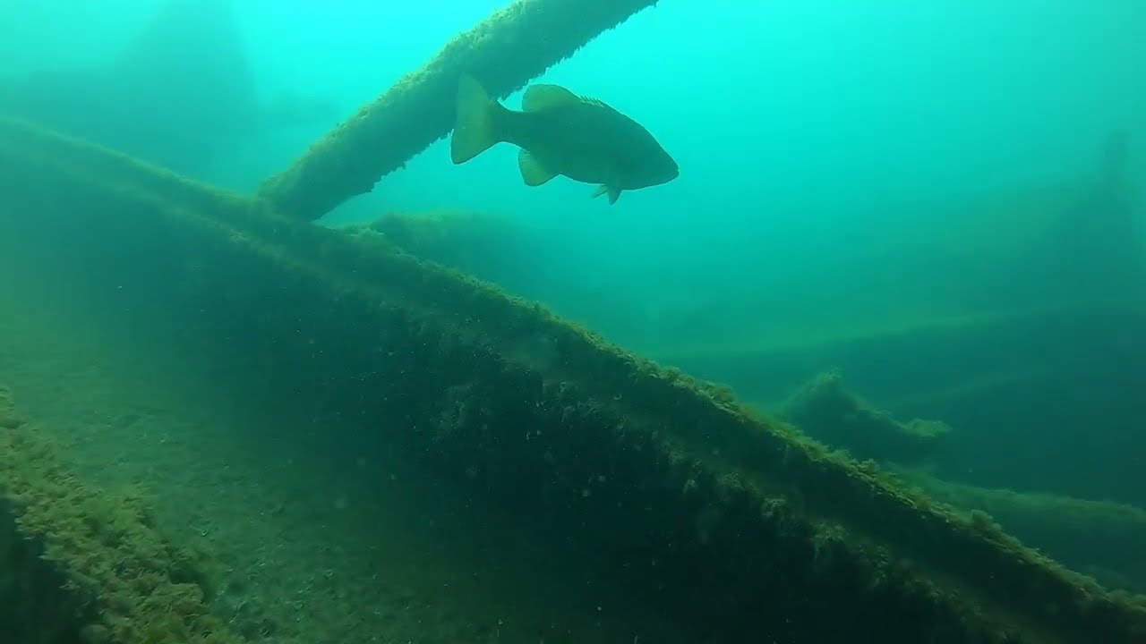 WMUP Minch Bow Mooring