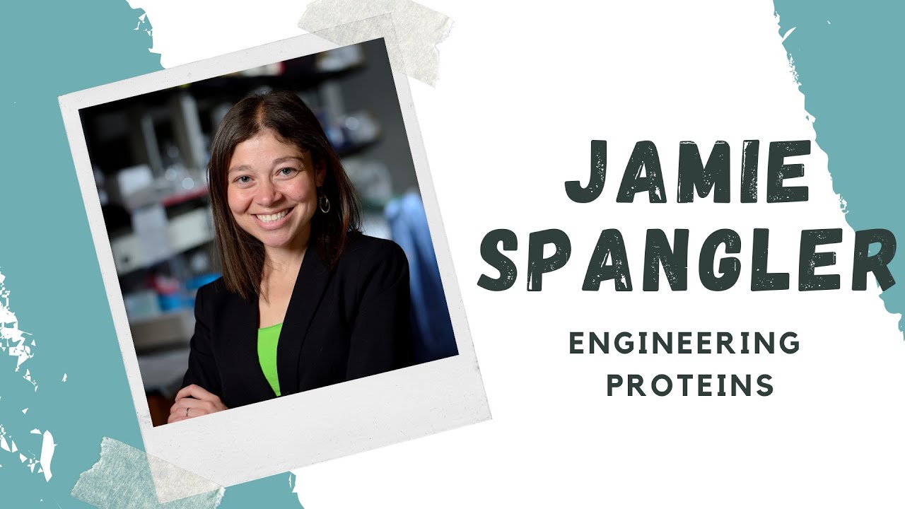 STEM World &mdash; Dr. Jamie Spangler: Engineering Proteins
