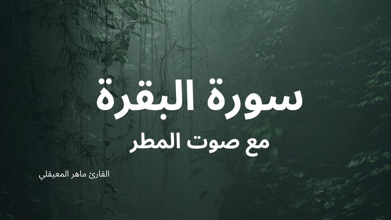 سورة البقرة بصوت القارئ ماهر المعيقلي مع صوت المطر للنوم..Souret albakara with sound of rain 4 sleep