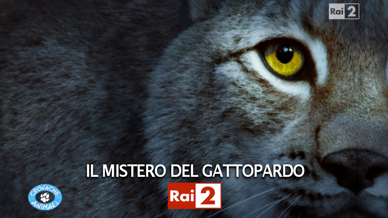 IL MISTERO DEL GATTOPARDO
