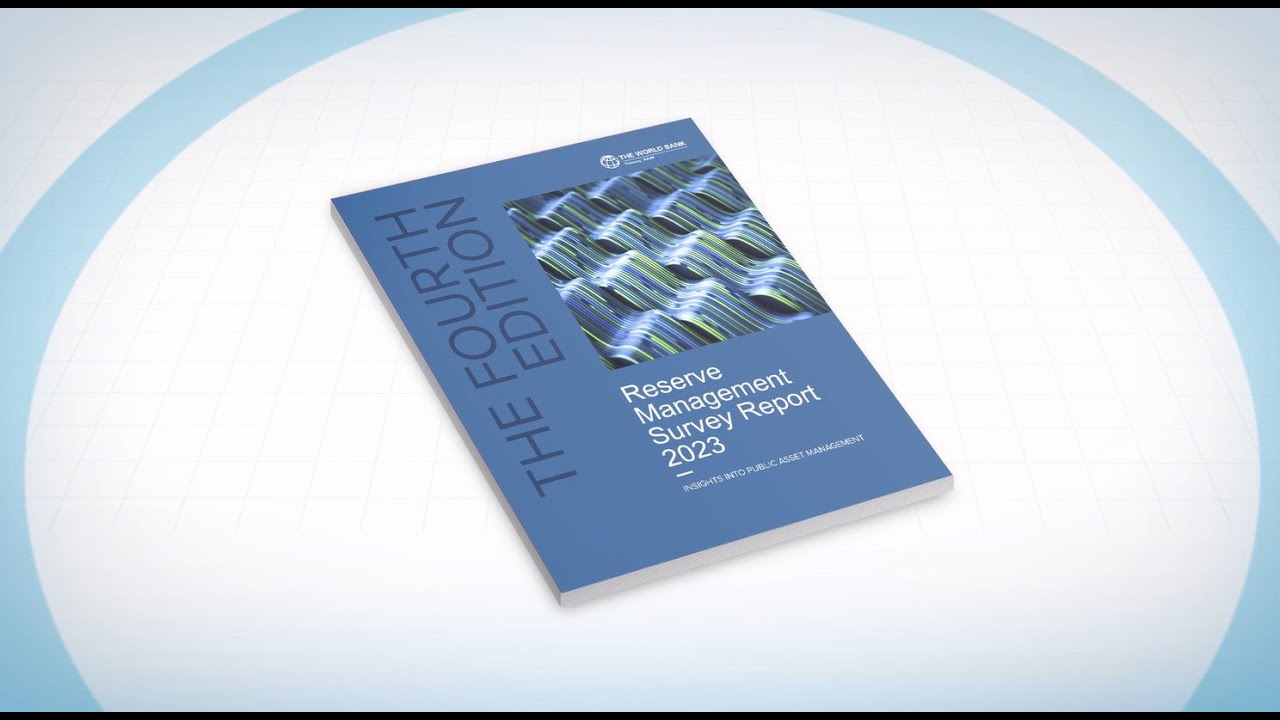 The World Bank Reserve Management Survey Report: Insights into Public Asset Management