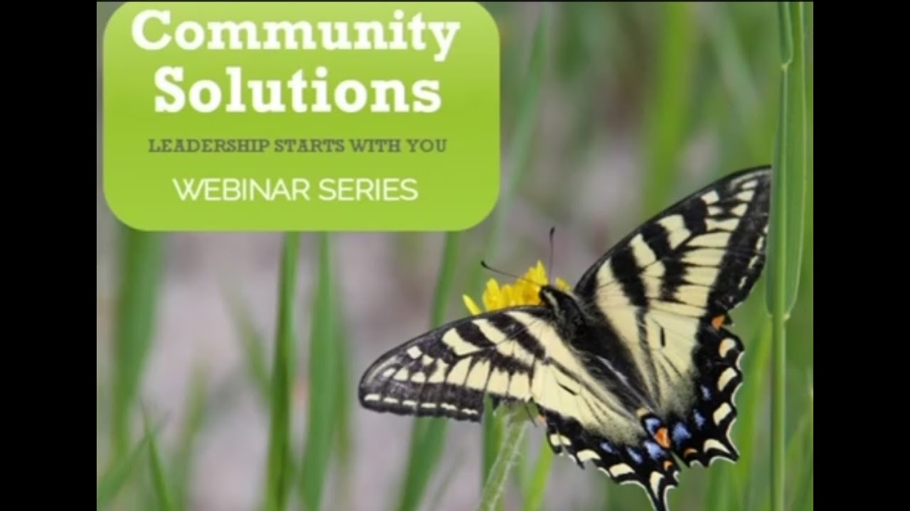 Community Governance Model - Building Better Practice