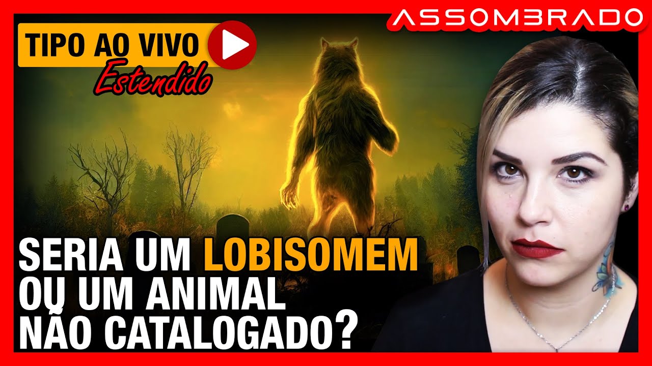 ALGO QUE ELES NUNCA VIRAM OS PERSEGUIU... - 