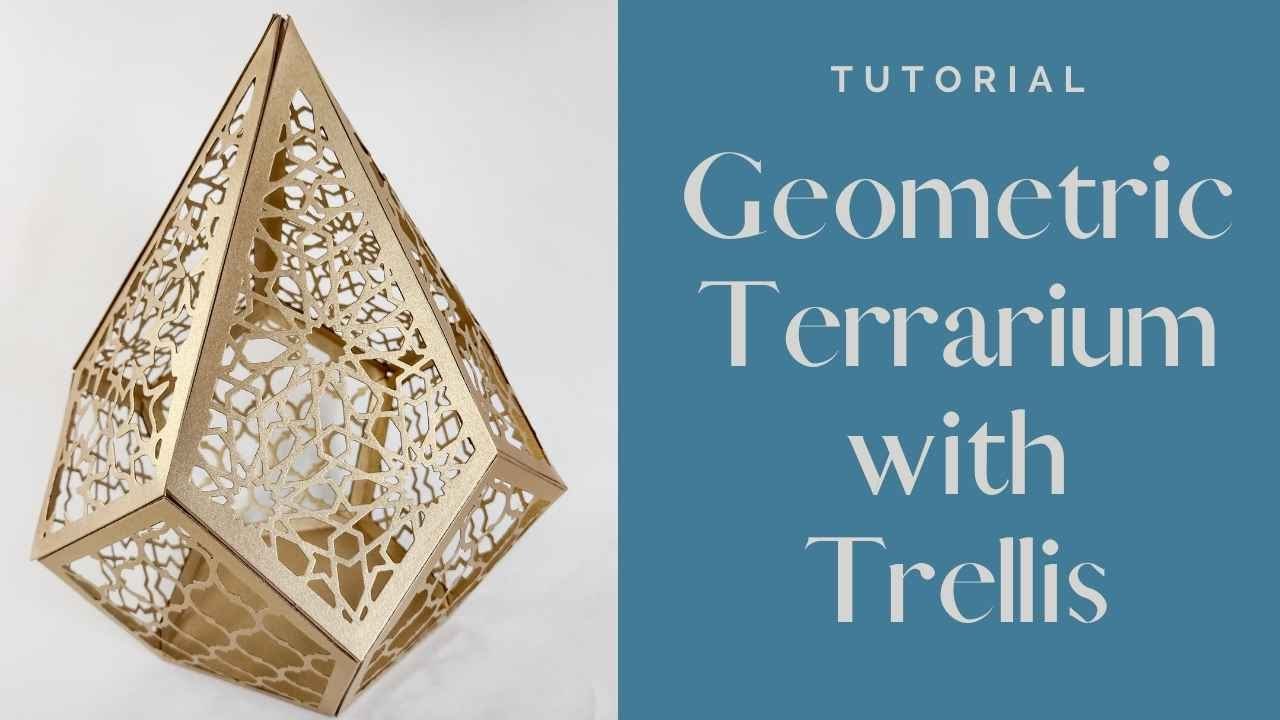 LIVE | Geometric Terrarium Lantern & Oasis Adventure